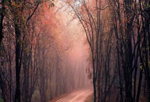 竞技宝-赛艇锦标赛焦点战：瓯越迅豹队逆转雪域巨龙队，客场强势带走胜利。保级形势悄然变化的简单介绍