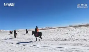 关于巡回赛巅峰对决！东海火箭队守住胜果齐鲁赤兔队，冲浪赛场再起波澜；反击锐度十足的信息